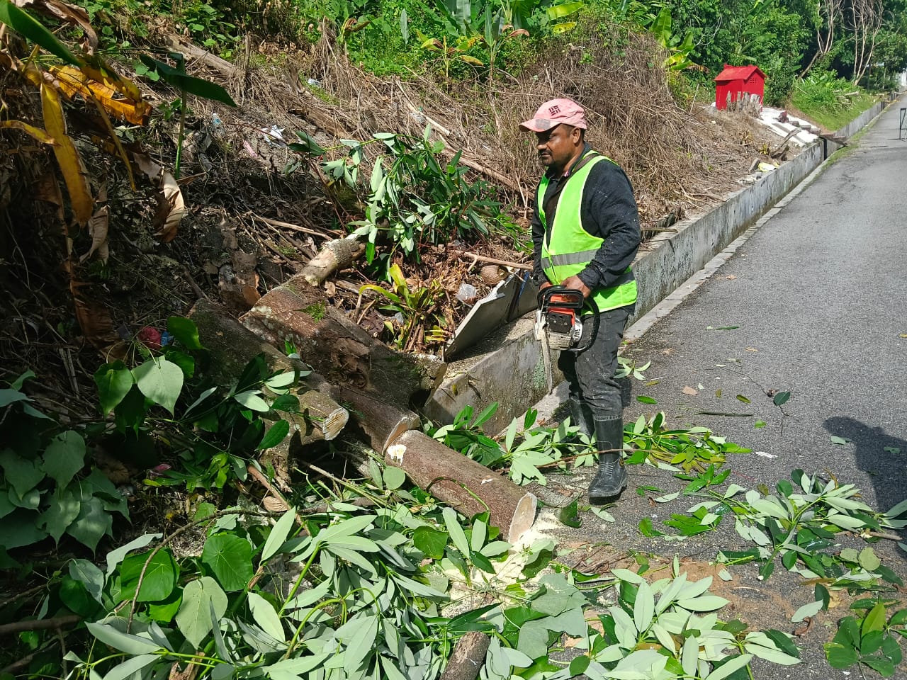 Tree Removal Service Kuala Lumpur