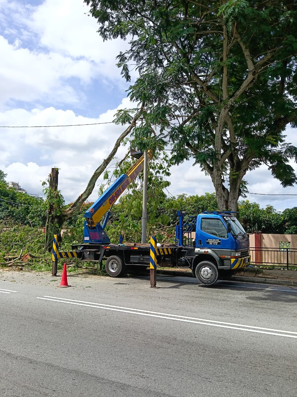 Tree Pruning Kuala Lumpur