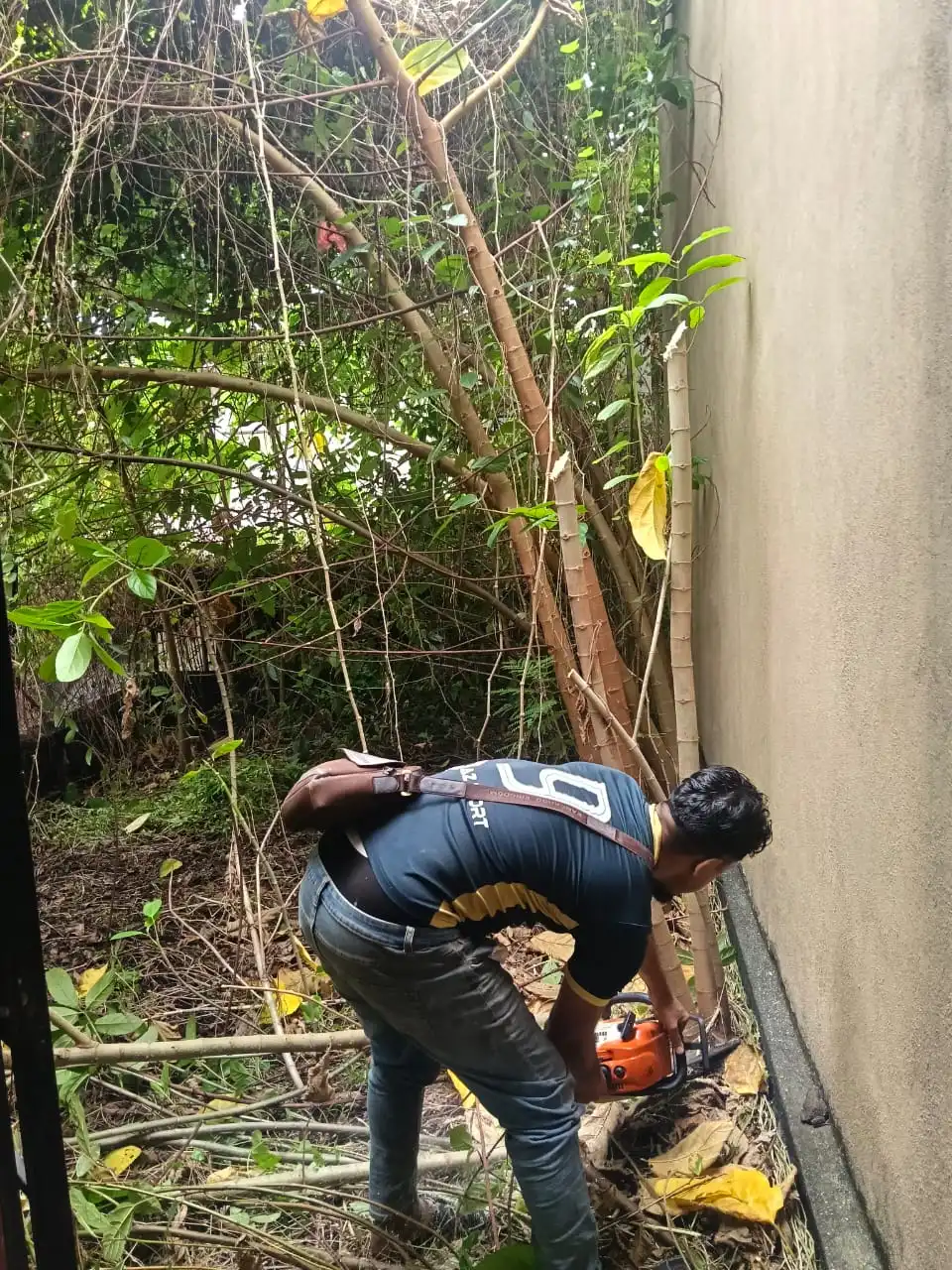 Tree cutting Sungai Besi Kuala Lumpur service by DoorstepFix