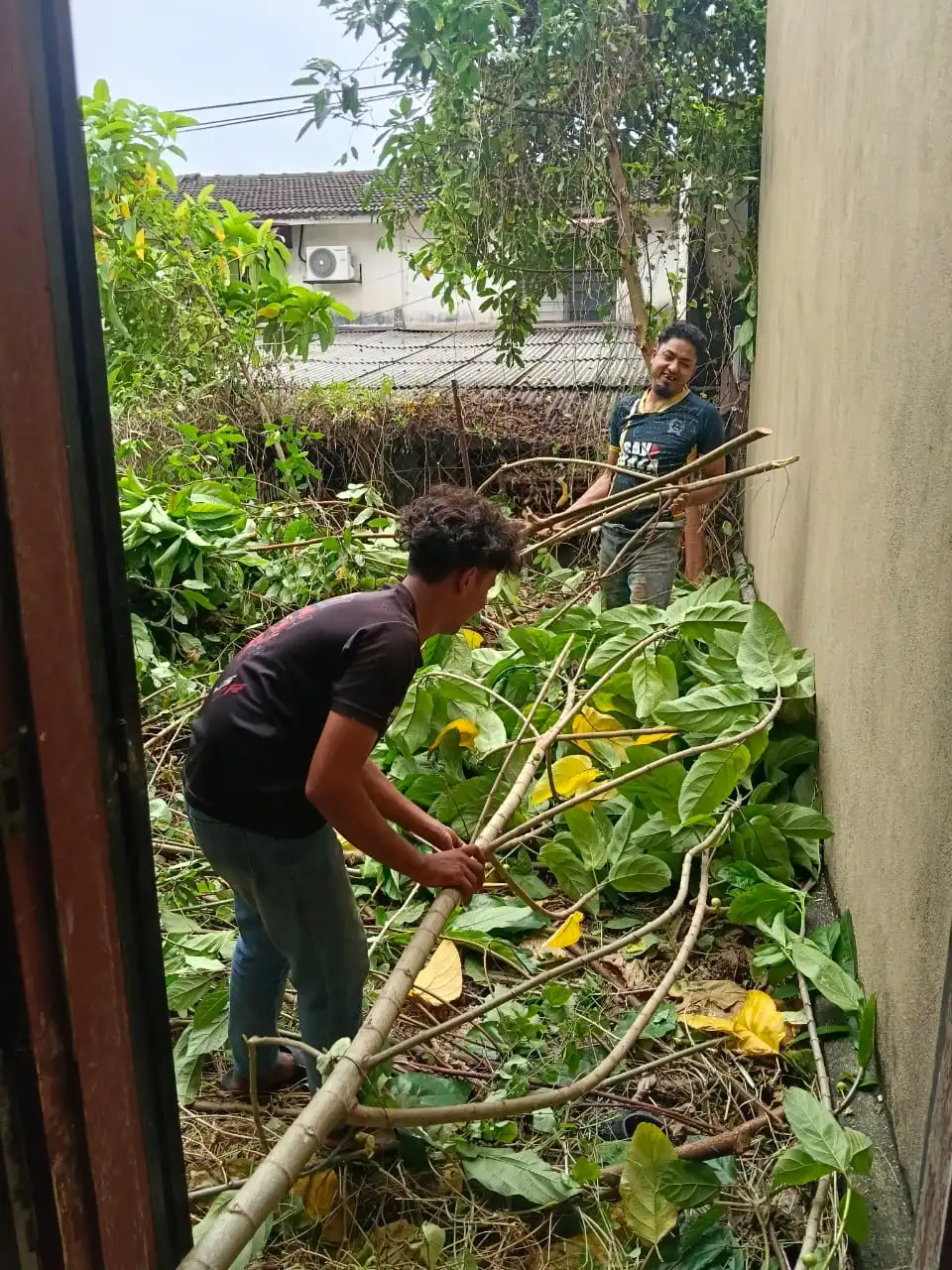 Worker cleaning tree waste after tree cutting in Sungai Besi Kuala Lumpur